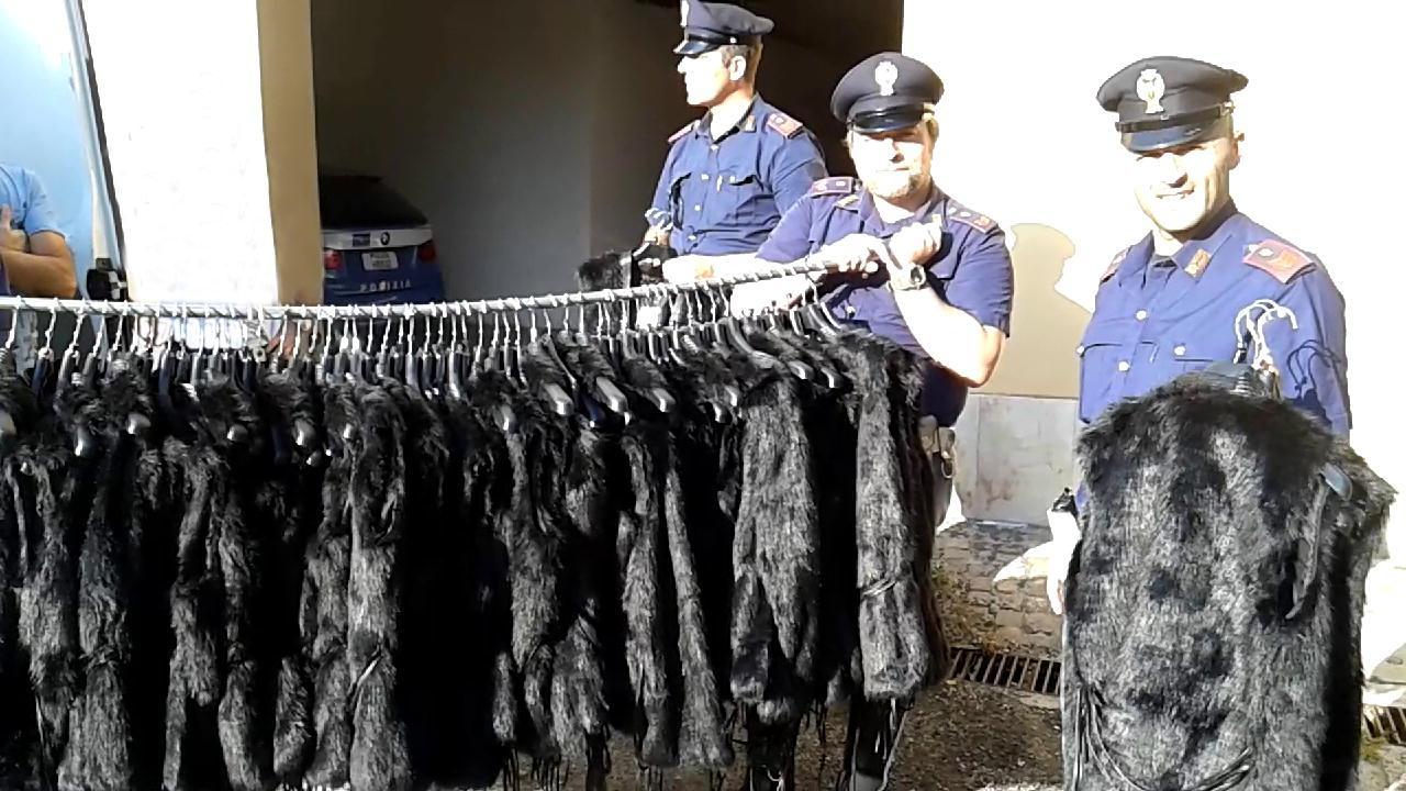 Le pellicce recuperate dalla polizia stradale