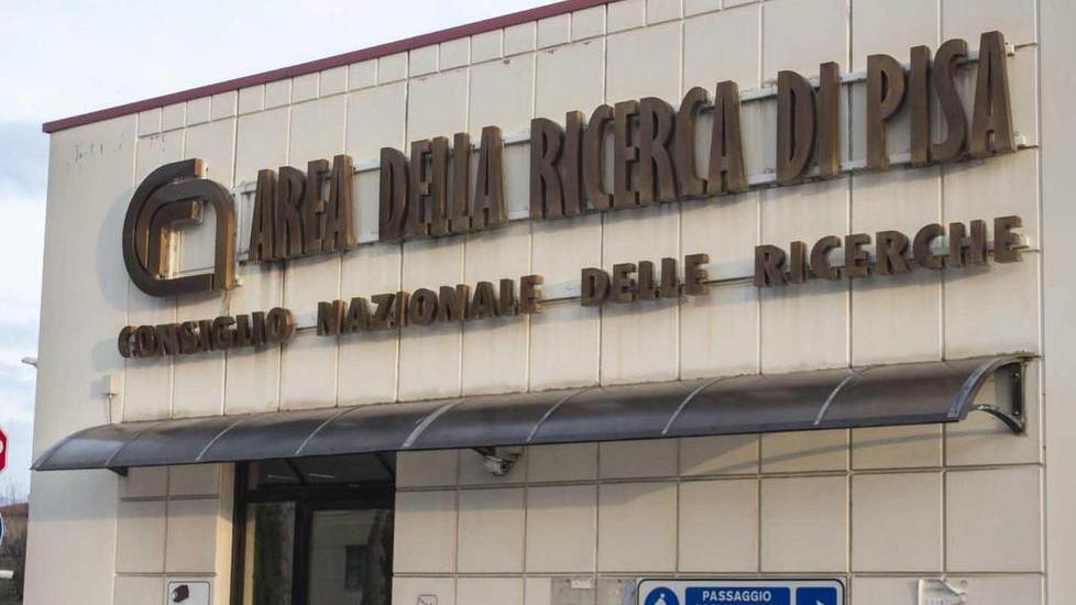 Dal cuore in 3d ai tartufi È la notte dei ricercatori
