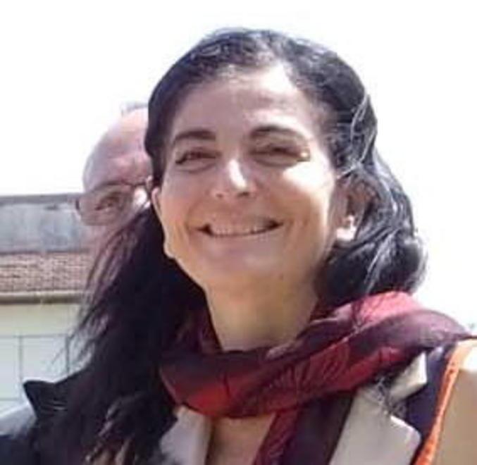 Marilù Chiofalo dà i particolari durante il consiglio