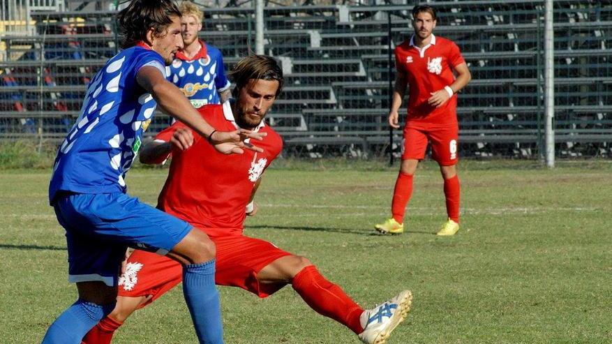 Bonuccelli deluso «Questo Gavorrano non aveva carattere»