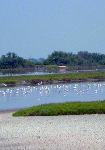 «Parco, il percorso che è stato intrapreso è quello giusto» 