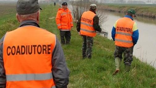 Pericolo nutria, la caccia resta difficile