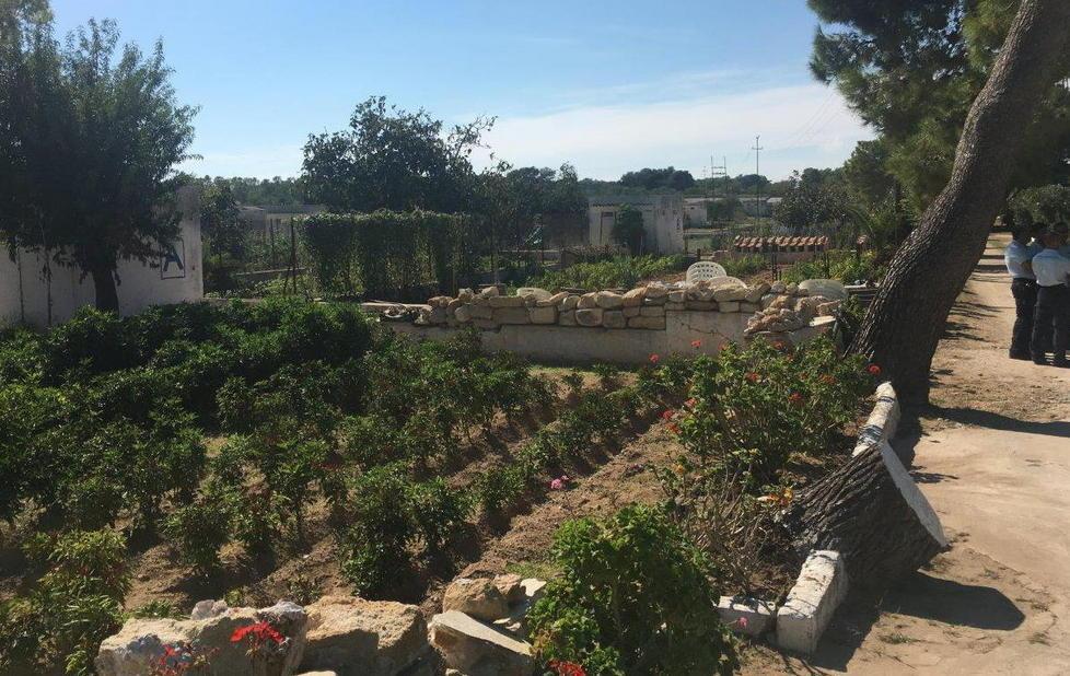 «Pianosa, trenta ettari coltivati a vite» 