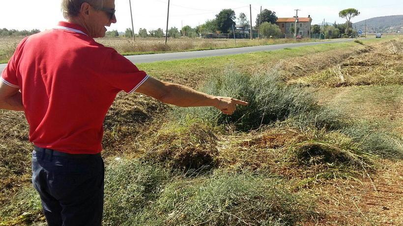 «Soffocati dagli sfalci della pulizia dei fossi lasciati dal Consorzio»