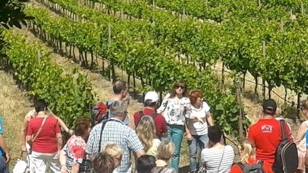 Un corso per nuovi sommelier