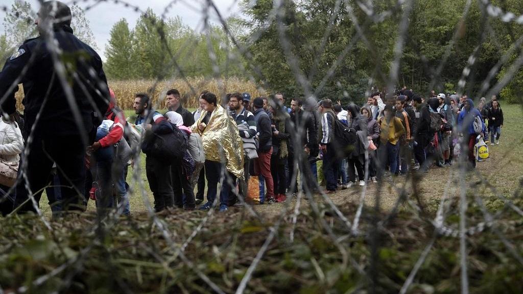 Migranti vicino alla frontiera ungherese