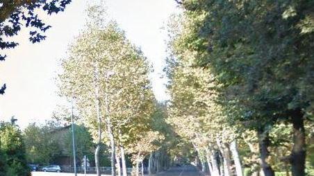 Raffica di furti a Sassuolo