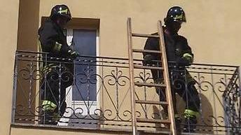 Gabbiano in terrazza salvato dai vigili