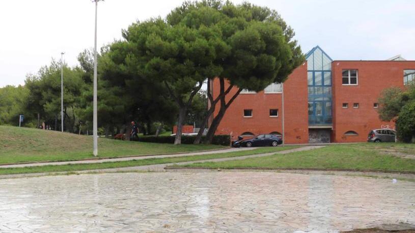 «Più controlli e pulizia nel parco»