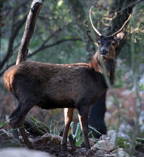 Bellezza e natura il tesoro vero della Sardegna 