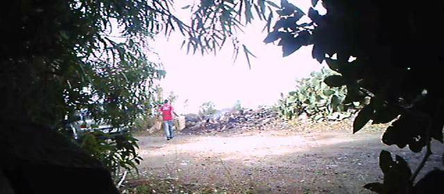 Un fermo immagine delle telecamere che smascherano l'inquinatore