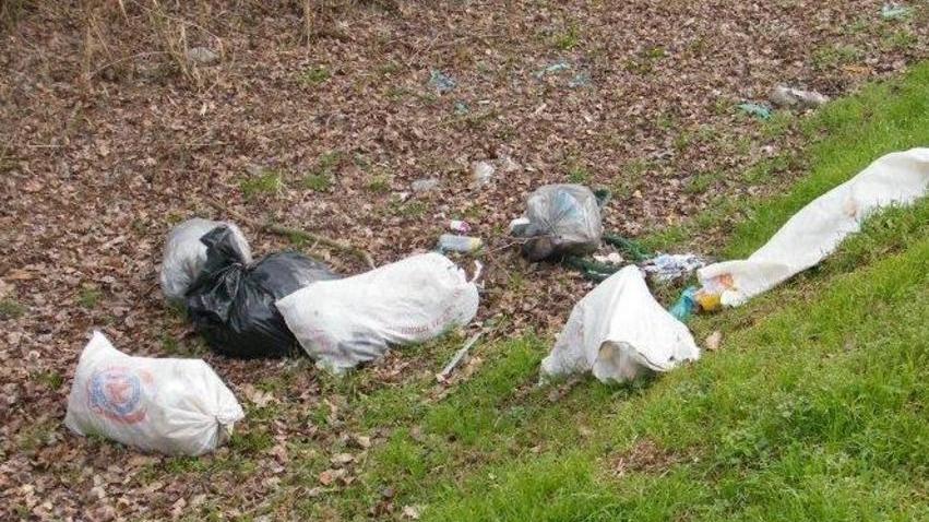 Ancora rifiuti abbandonati nella golena del Po