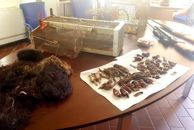 Caccia di frodo nel suo campo: denunciato