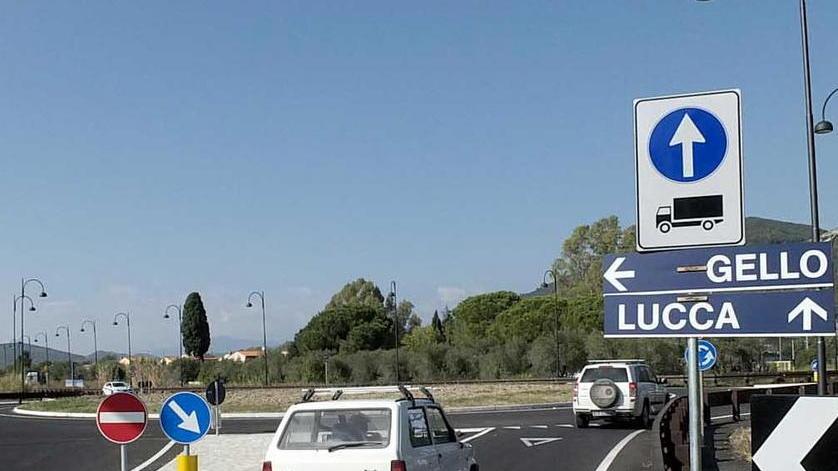 Bretella, saranno gli alberi a “mitigare” l’inquinamento