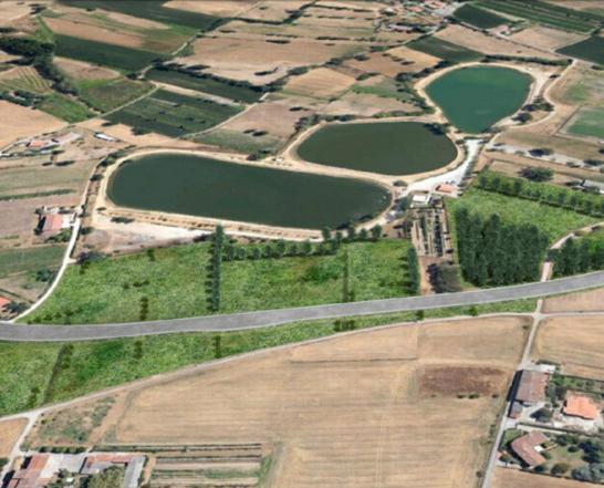Grande viabilità e facilitazioni col pulper 