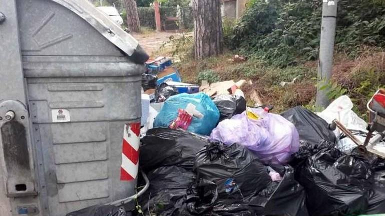 Topi a banchetto in via Frassina