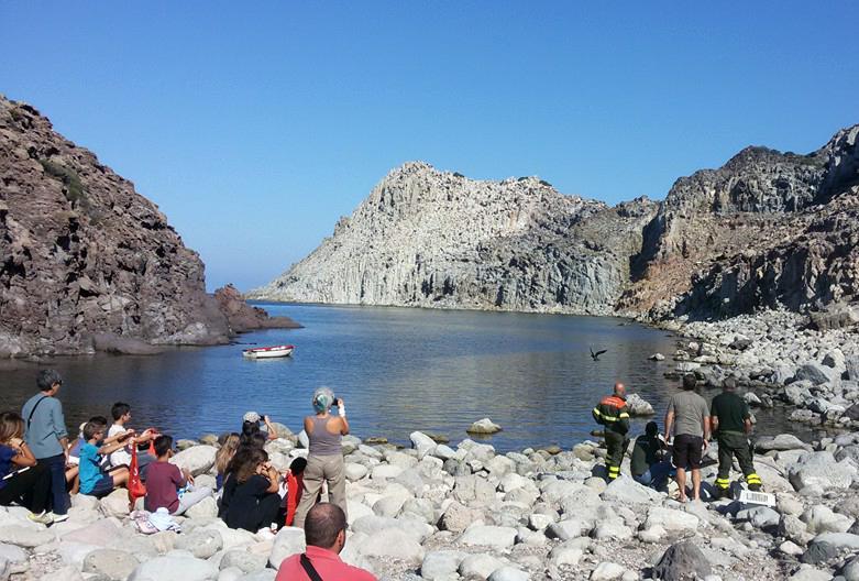 I falchi liberati a Cala Fico