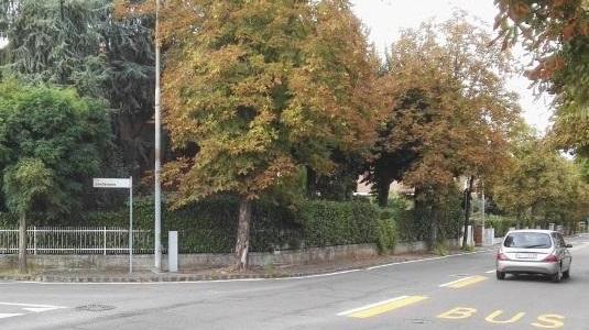Via Legnago a senso unico: in Consiglio è polemica