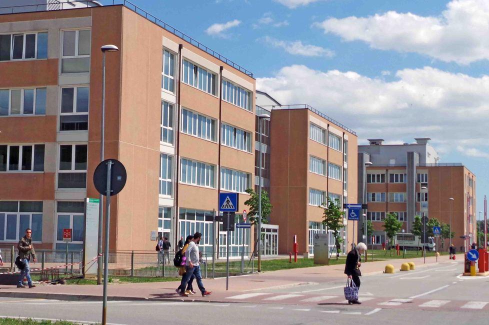 Morso da topo con la rabbia l’antidoto spedito da Ferrara