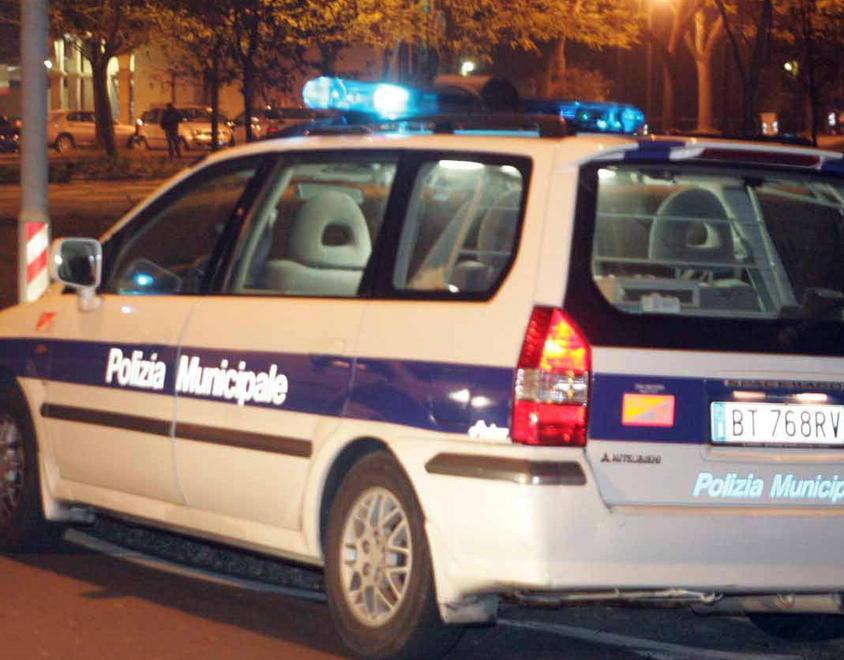 Uccide tre mici con il badile: denunciato 
