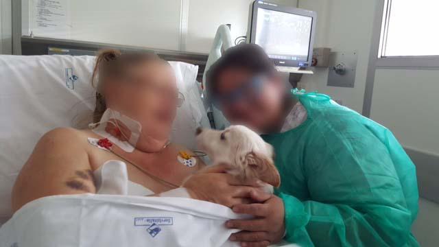 Il momento dell'abbraccio tra la paziente e il cane Conan