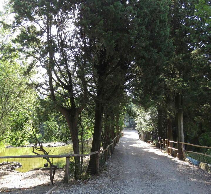 in pillole