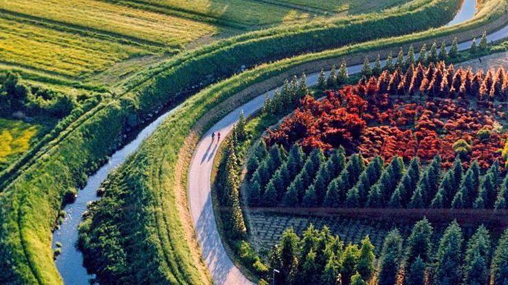 Addio all’Irpef agricola E ora i vivaisti respirano