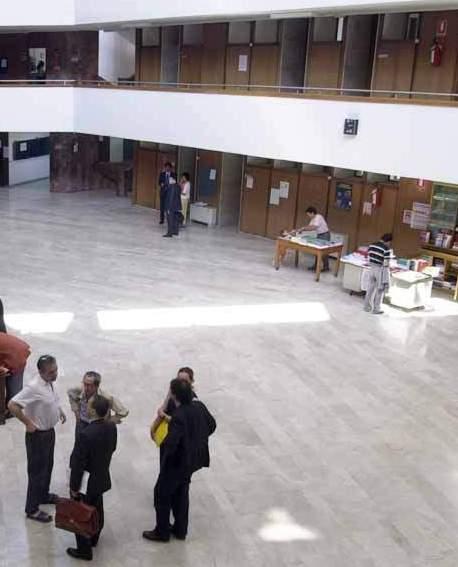 «Aiuto, c’è un topo in Tribunale» 