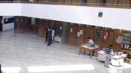 «Aiuto, c’è un topo in Tribunale»