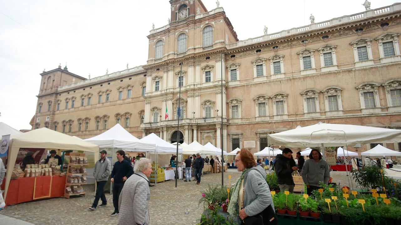 Parva Naturalia 2016 in piazza Roma