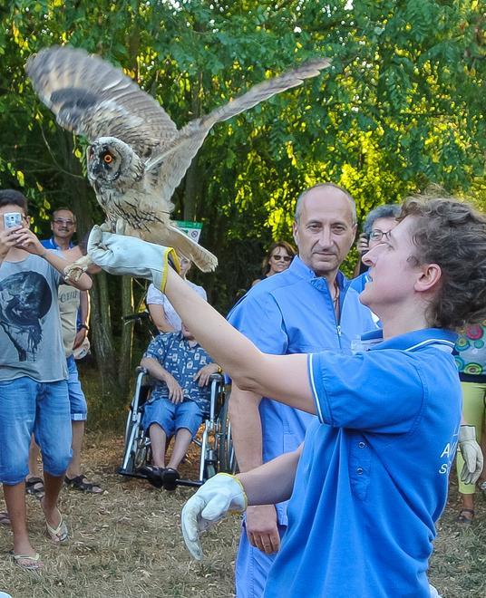 Fabbri (Lega) «Salvare la Garzaia e gli animali»