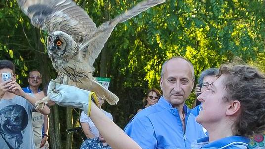 Fabbri (Lega) «Salvare la Garzaia e gli animali»