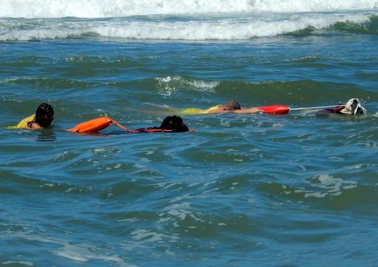 Duecento interventi sulle spiagge 