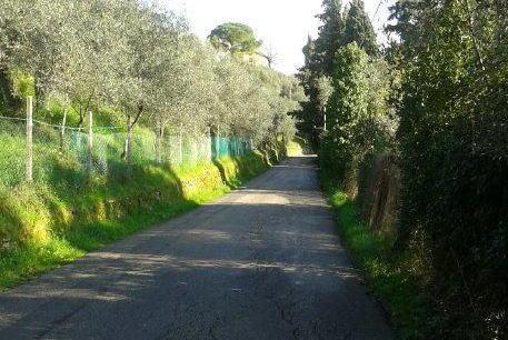 Parco della Pace, niente pullman 