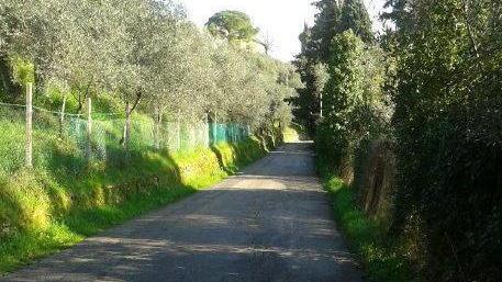 Parco della Pace, niente pullman