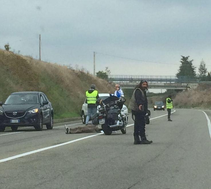 Spilamberto, si schiantano contro auto Cicloamatori all’ospedale 