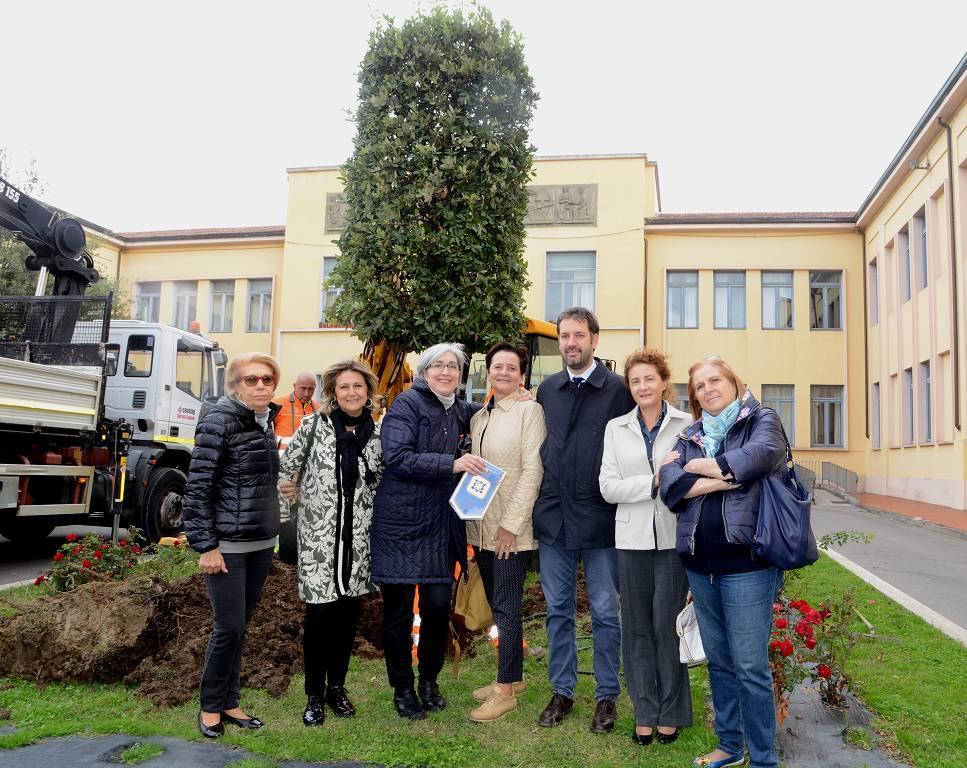 Piantati tre lecci davanti alla scuola Guasti