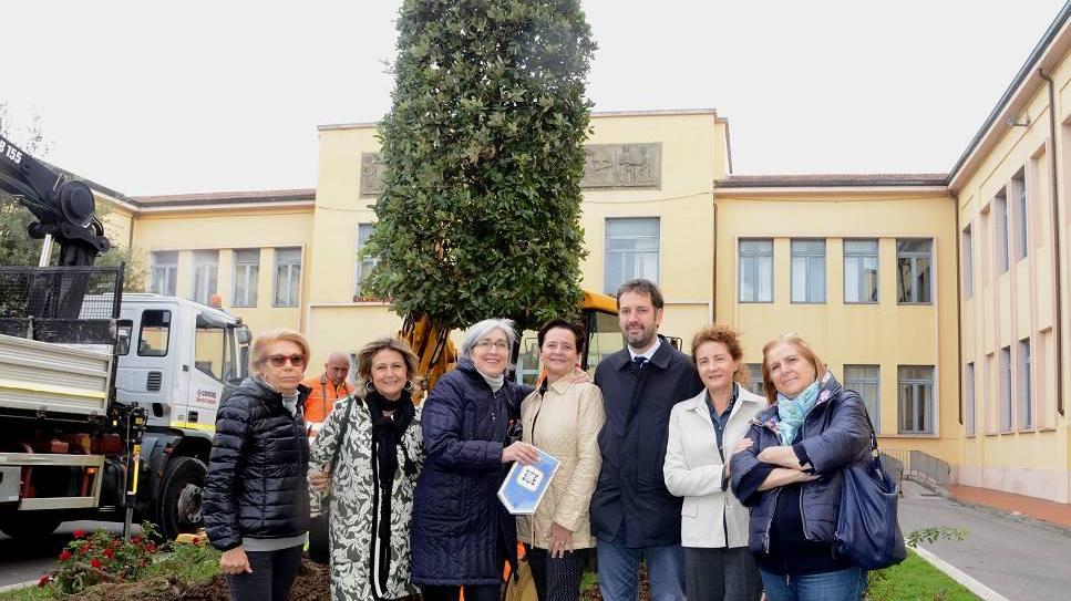 Piantati tre lecci davanti alla scuola Guasti
