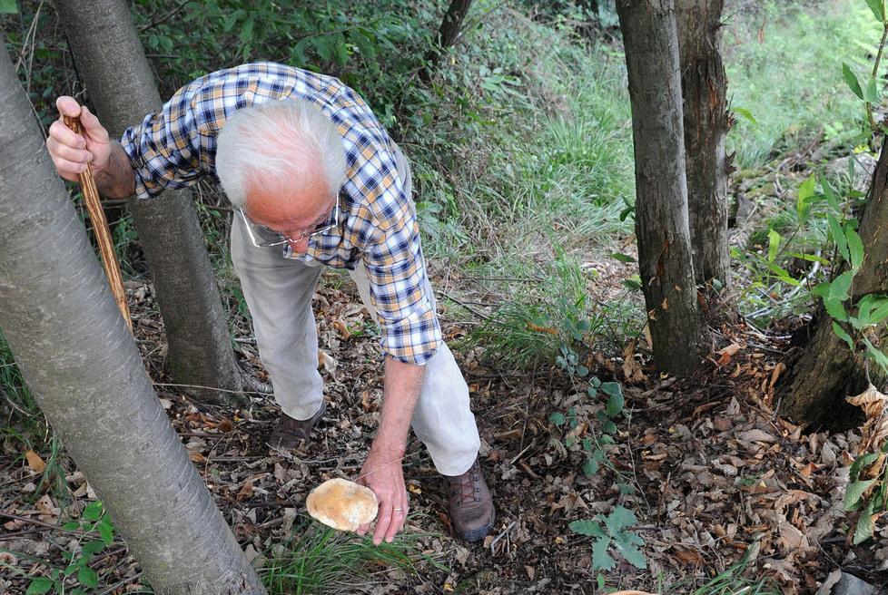 Ex dipendente del Comune e appassionato di ambiente