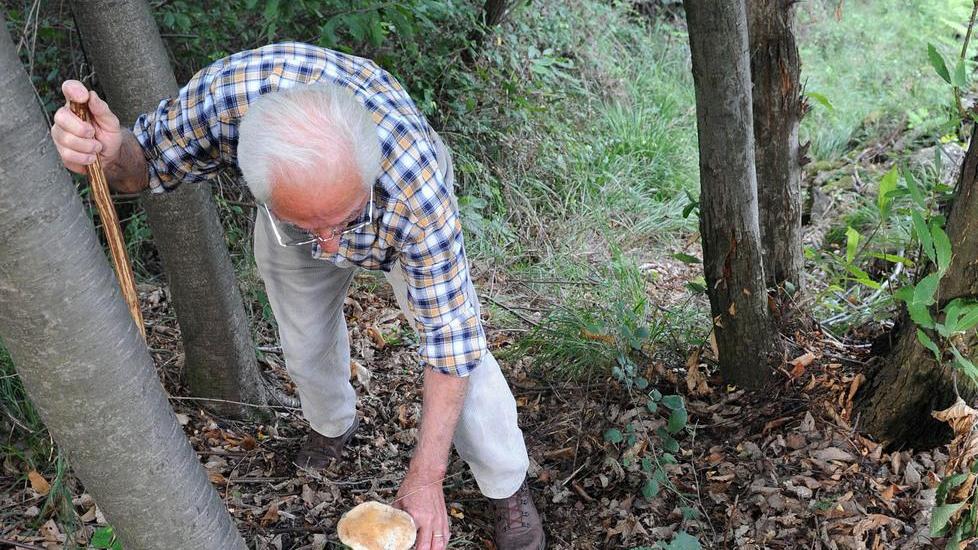 Ex dipendente del Comune e appassionato di ambiente