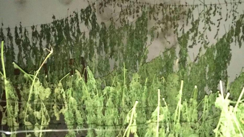 Arzana, sorpresi con la marijuana si rifugiano sui tetti