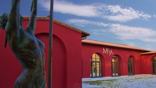 Obiettivo sul Musa Concorso fotografico