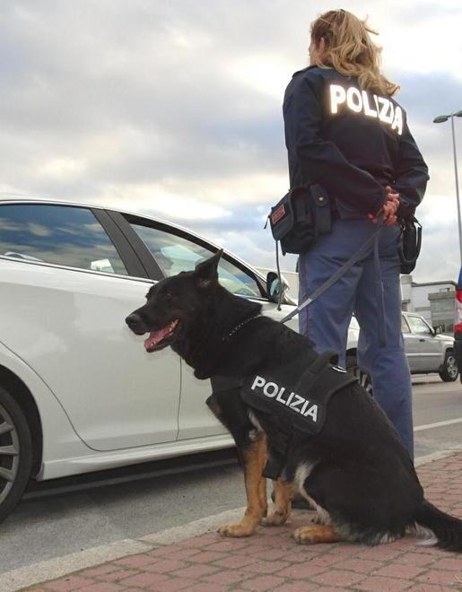 Boom di auto senza assicurazione 