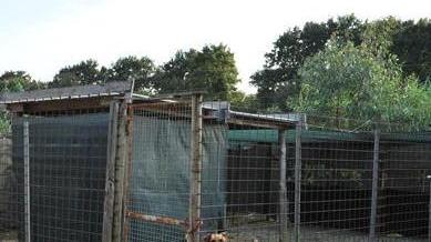 Animali per amici diffide e denunce è guerra tra i soci