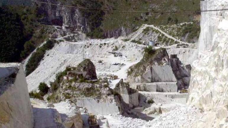 «Va premiato chi privilegia la filiera locale»
