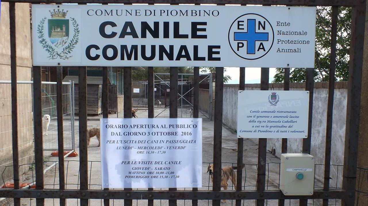 L'ingresso del canile piombinese ai Macelli (foto Paolo Barlettani)