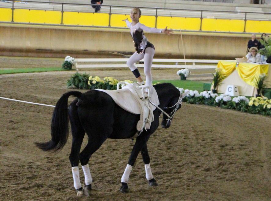 Volteggio equestre, Giorgia campionessa 