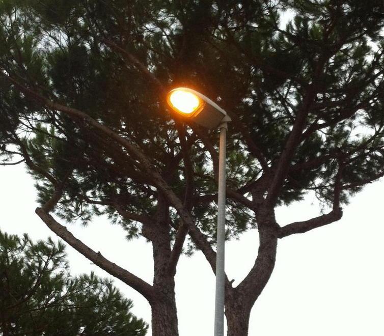 Lampioni in Darsena di nuovo funzionanti