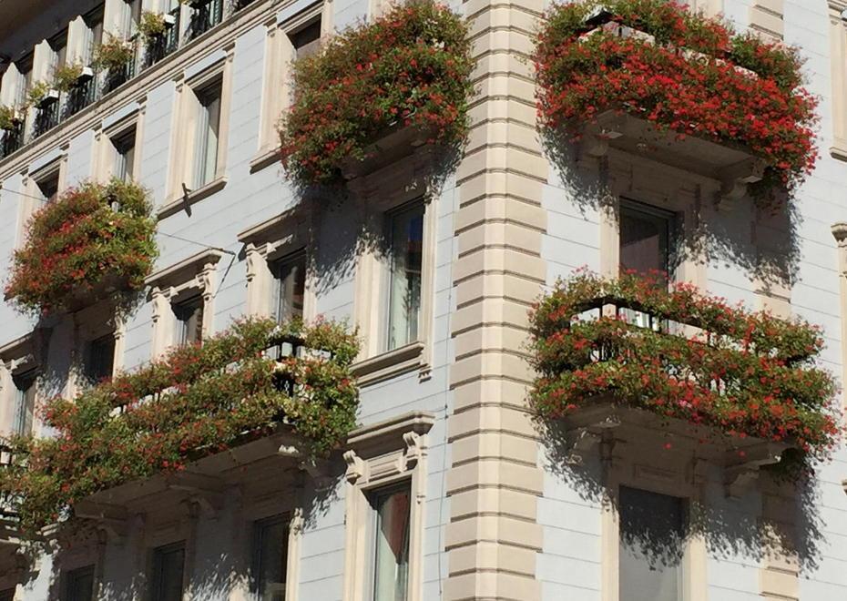 Così la città premia quindici “pollici verdi”