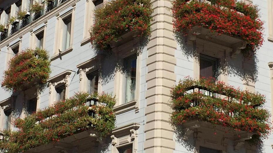 Così la città premia quindici “pollici verdi”